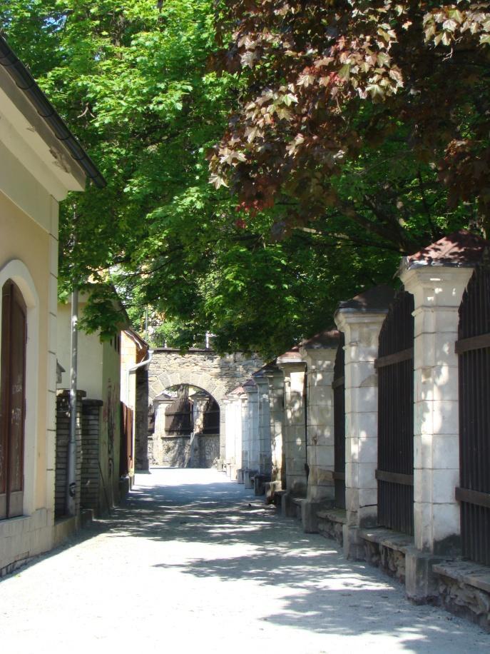 Rozpočet 2013, výše členských příspěvků, další financování Východiska tvorby rozpočtu pro rok 2013: Zajistit chod MAS v neomezené míře (výdaje omezeny již odchodem 1 pracovníka) do rozběhu dalšího
