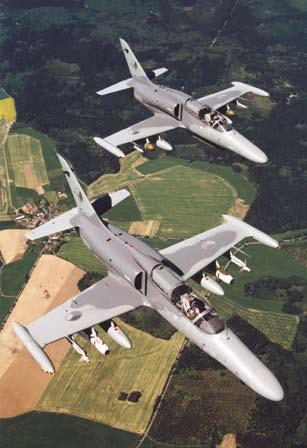 1998 1999 frekventant National Defence University National War College ve Washingtonu. 1999 2000 náčelník štábu Velitelství pozemních sil AČR v Olomouci.