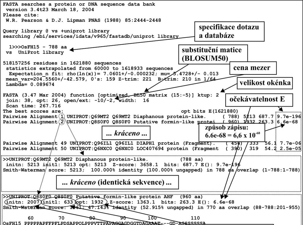 Obr.6.2. Příklad výstupu programu FASTA. Horší však je možnost získání falešně pozitivních výsledků, tedy nacházení sekvencí, které dotazu příbuzné nejsou.