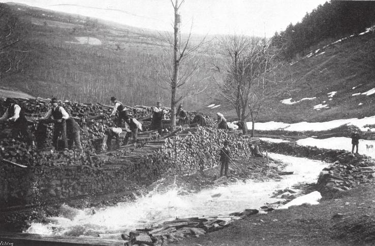 Galia); b příprava k plavení dříví, povšimněte si břehů zcela bez břehové vegetace (zdroj: Album Valašska 1898); c zahloubený a relativně homogenní korytový úsek Velkého potoka