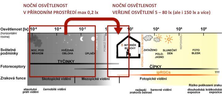 Ve fotopickém režimu jsou aktivní pouze čípky, a pouze při denních hladinách jasu, zhruba od 10 cd.m -2 výše.