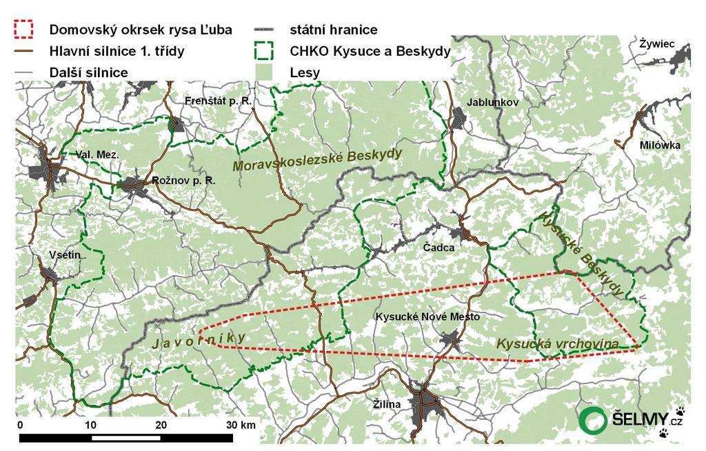 Prostorová aktivita velkých šelem 7 times crossed