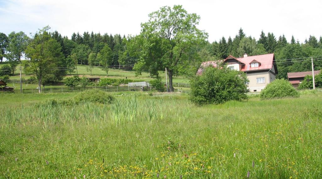 Plán péče o přírodní památku Rádlo na