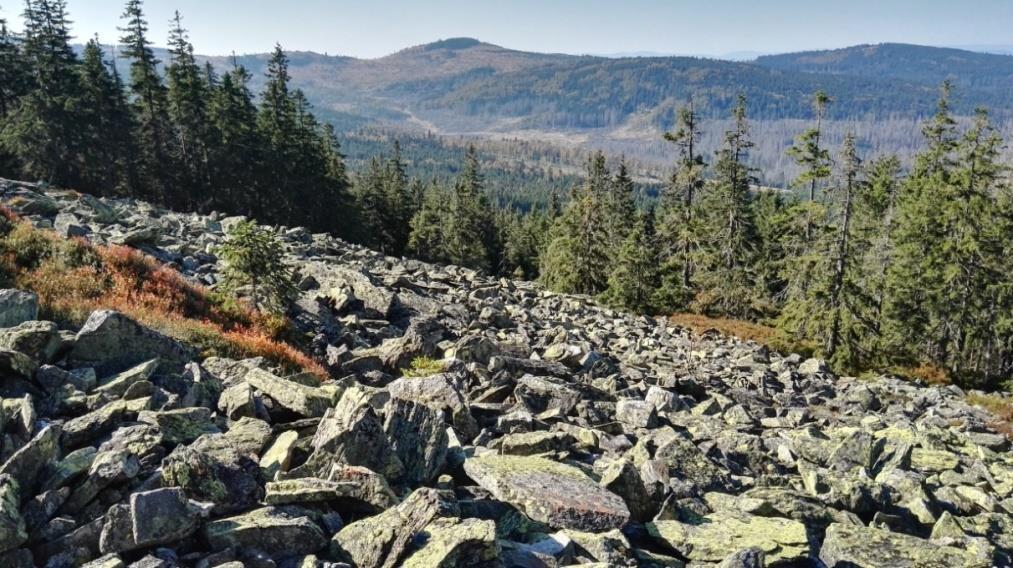 Vlastní zpracování dat Geologické mapy ČR 1:25 000. V nižších nadmořských výškách je reliéf pokryt smrkovým lesem.