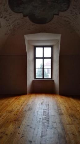 Projekt záchrany