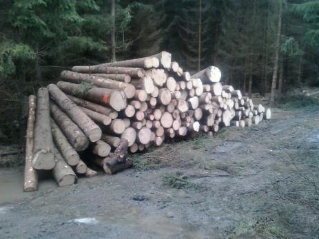 186 ha lesa u 317 vlastníků, - administrace dotací na meliorační a zpevňující dřeviny pr