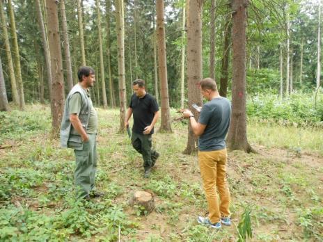 Kontrola lesa likvidace kůrovcové kalamity Stopy působení podkorního hmyzu u smrku c) ochrana přírody a veřejná zeleň: - údržba ploch