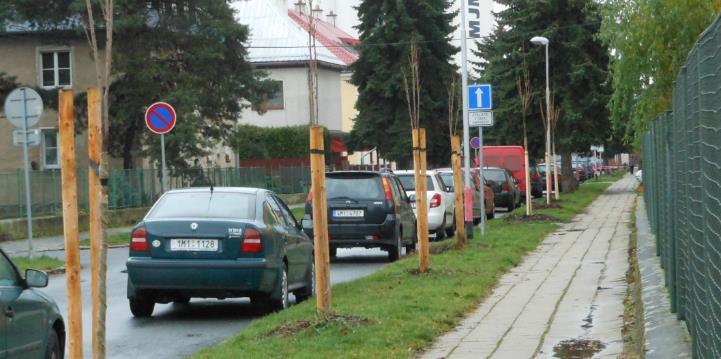 Obnova aleje v ulici Komenského (výsadby sakur) a nové stromy v ulici Krampolova d) vodní hospodářství: - správa vodních nádrží ve vlastnictví města (Lhota, Dolní Žleb, Dalov), - příprava projektu
