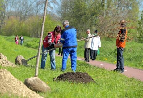 náhradních výsadeb a obnovování prvků ÚSES v krajině, - povolování kácení dřevin rostoucích mimo les na území
