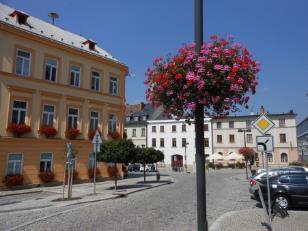 Mobilní květinová výzdoba města - Horní a Hlavní náměstí včetně květin v oknech radnice c) lesní hospodářství, myslivost a rybářství: - zajišťování všech