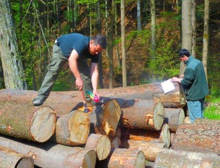Kontrola vyrobeného dříví Přibližování koněm a traktorem v Dalově Kontrola lapačů podkorního hmyzu (lýkožroutů) rozmístěných v Kukaččím lese v