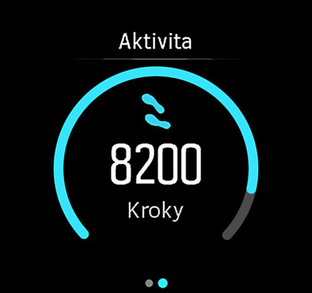 3 VLASTNOSTI 3.1 Monitorování aktivity Hodinky sledují vaši celkovou míru aktivity po celý den.