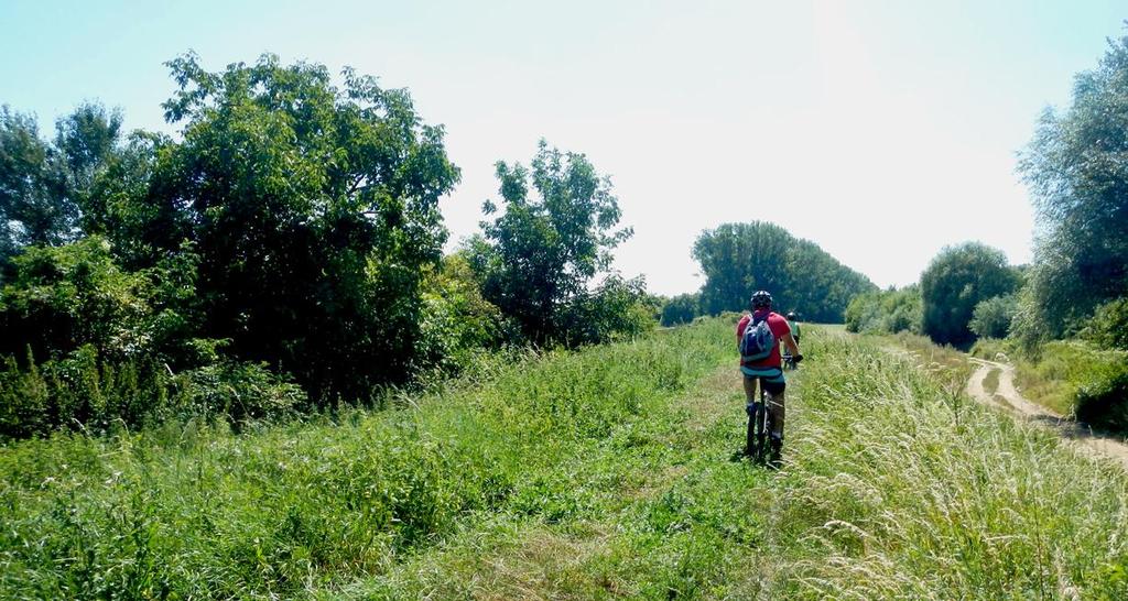 b) Rekonštrukcia a dostavba rozhodujúcich tokov, hrádzí a kanálovej siete na Východoslovenskej nížine - rekonštrukcia hrádze ĽB a PB Bodrog, Latorica, Trnávka, Laborec - rekonštrukcia - Sobranecký