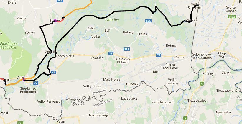 Vetva G Dolnozemplínska vetvan prepája Vinohradnícku oblasť Tokaj v smere na Ukrajinu cez hraničný priechod Veľké Slemence. Je situovaná v juhovýchodnej časti Košického kraja, v okrese Trebišov.
