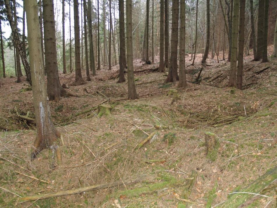těţba černého uhlí - Ţacléřsko rekultivace haldy ukončena v roce 2006