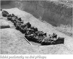 např. chrany bilgické rzmanitsti a kvality živtníh prstředí, zejména frmu důsledné chrany lkalit sustavy Natura 2000, chrany zemědělskéh a lesníh půdníh fndu.
