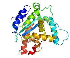 Aplikace HPLC Aminokyseliny Peptidy Proteiny Lipidy