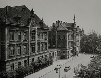 pracoval jako ordinář pro alergologii a klinickou imunologii ve FN Motol. Roku 1981 se stal primářem dětského oddělení Fakultní nemocnice na Bulovce, kde působil až do roku 1996.