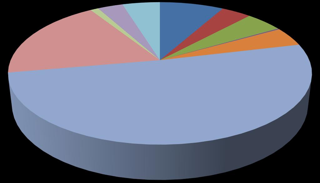 Příloha č. 3 Hospodaření organizace Přehled nákladů (v tis. Kč) č.