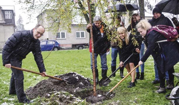 25. DUBNA 2017 STRANA 7 Rozdělené město zváží, zda se tramvaje vrátí Aleje se stále rozrůstají ČESKÝ TĚŠÍN, TĚŠÍN Před téměř sty lety rozdělené Těšíny se letos pokusí odpovědět na otázku, zda je