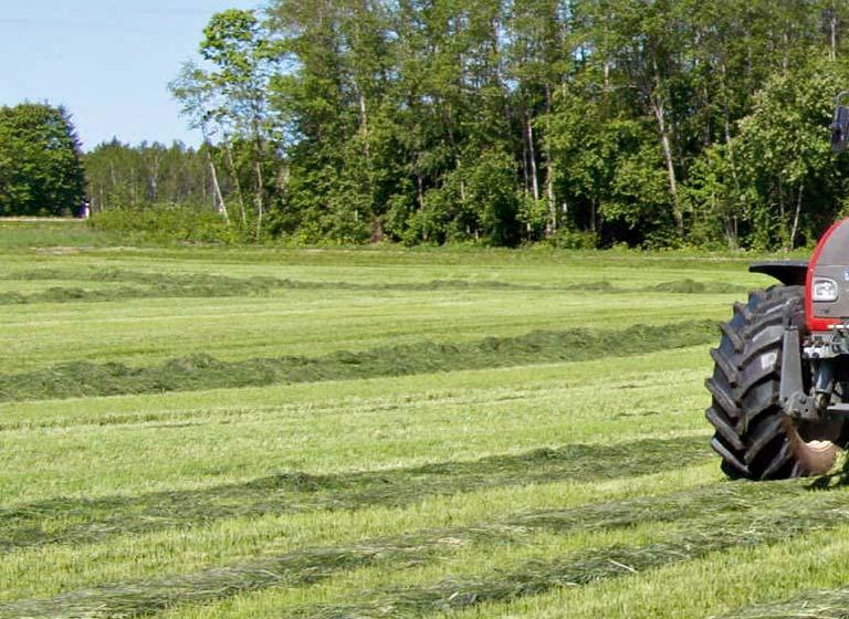 BEZKONKURENČNÍ VARIABI Díky 8 variantám shrnování řádků je KUHN MERGE-MAXX