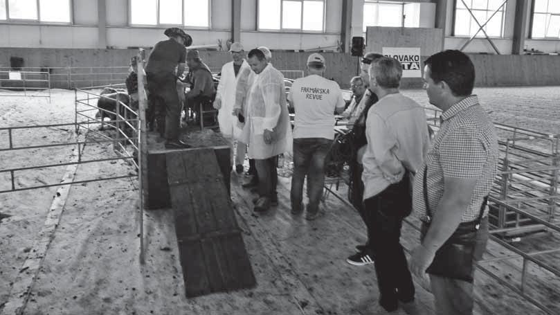 Z ČINNOSTI ZVÄZU Nákupný trh plemenných baranov konaný dňa 12. 5. 2018 v Masarykovom dvore v Pstruši Ing. Pavol Gúgľava, ZCHOK na Slovensku družstvo Po tretí rok sa dňa 12. 5. konal nákupný trh plemenných baranov prevažne mäsových plemien vo veľmi peknom prostredí Masarykovho dvora v Pstruši.