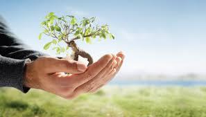 JAKÉ JSOU PŘÍKLADY ČINNOSTÍ ENVIRONMENTÁLNÍCH SOCIÁLNÍCH PODNIKŮ? re-use centra, up-cycling výroba (max.