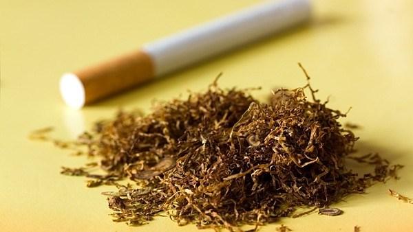 UTB ve Zlíně, Fakulta aplikované informatiky 19 Psychické účinky nikotinu na kuřáky, kteří vypovídají o dobrém vlivu působení a to například, že se dokážou lépe ovládat ve stresových situacích a také