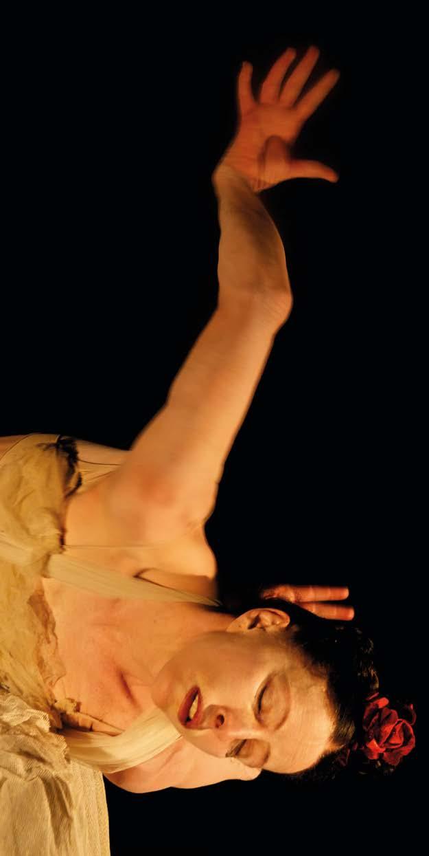 Žďár n/s Mezinárodní/ International festival 7.