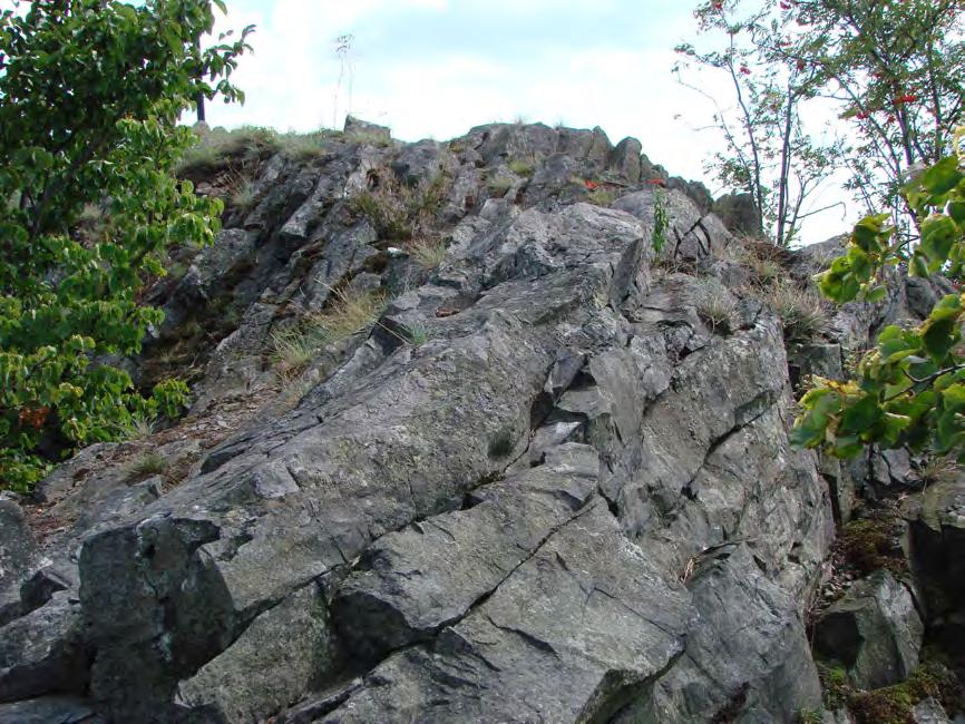 2.1.2 Geologie a geomorfologie 2.1.2.1 Geologie Území ZCHÚ je součástí České křídové tabule. Jsou zde téměř horizontálně uloženy sedimenty svrchní křídy.
