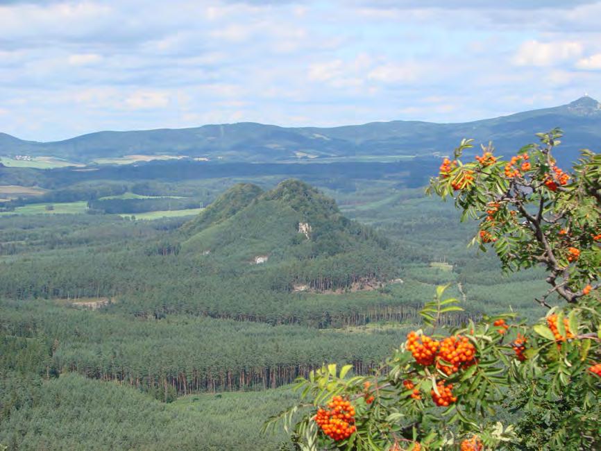 2.1.2.2 Geomorfologie Podle geomorfologického členění ČSR (Demek 1987) náleží území ZCHÚ do těchto geomorfologických jednotek: ČESKÁ VYSOČINA VI Česká tabule VIA Severočeská tabule VIA - 1 Ralská