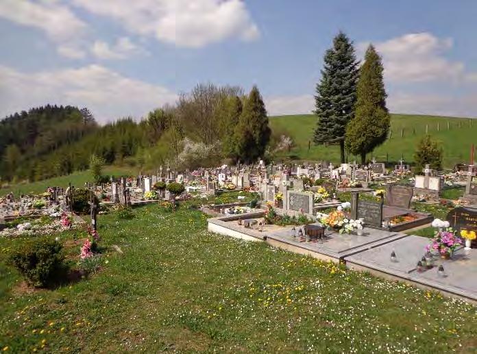 Charakteristika pohrebiska: Pohrebisko Žilinská Lehota sa nachádza v prímestskej časti mesta Žilina Žilinská Lehota. Prvé pochova na tomto pohrebisku je evidované v roku 1918.