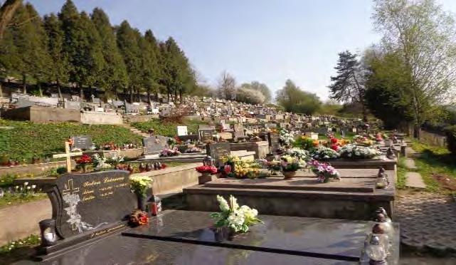 Voda: Voda je pre návštevníkov k dispozícii zo štyroch vývodov miestneho vodovodu, nachádzajúcich sa v spodnej a strednej časti pohrebiska.