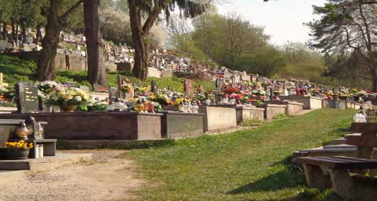 Oplote: Spodná časti oplotenia v dĺžke 199,2m, kde sú umiestnené bránky ku vstupu na pohrebisko je tvorená železným plotom, upevneným v betónovom základe hraničiacom s účelovou komunikáciou.