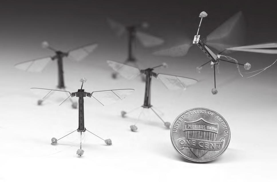Robotická včela RoboBee z Harvardu je maličká jako její přírodní vzor. Po 12 letech vývojových prací se výzkumníkům z Harvardské university podařilo, že jejich RoboBee dokáže létat.