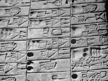 Ve starověkém Egyptě se pro výrobu piva pěstovaly dva druhy ječmene a pšenice (Triticum dicocum a Triticum sativum) a špalda. Podrobný popis výroby piva ve starém Egyptě v éře Staré říše podává např.