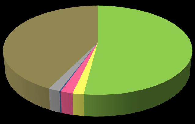 VÝVOJ ZMLAZENÍ (1972-2011) 42,7 % 19,92 ha 52,0 % 24,27 ha BK - ODRŮSTÁNÍ BK - STAGNACE SM - ODRŮSTÁNÍ JR - ODRŮSTÁNÍ BK - ODUMÍRÁNÍ 1,7 % 0,78 ha 0,2 % 0,11 ha 1,8 % 1,6 % 0,83 ha 0,76 ha BEZ