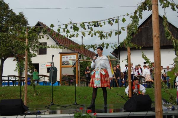 Celkové náklady projektu: 96 847, 20 EUR Celkové výdaje části projektu MAS Horňácko a Ostrožsko jsou ve výši 14 581 EUR.