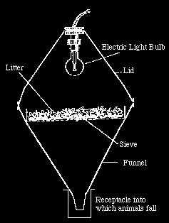 extractory Xeroeklektor