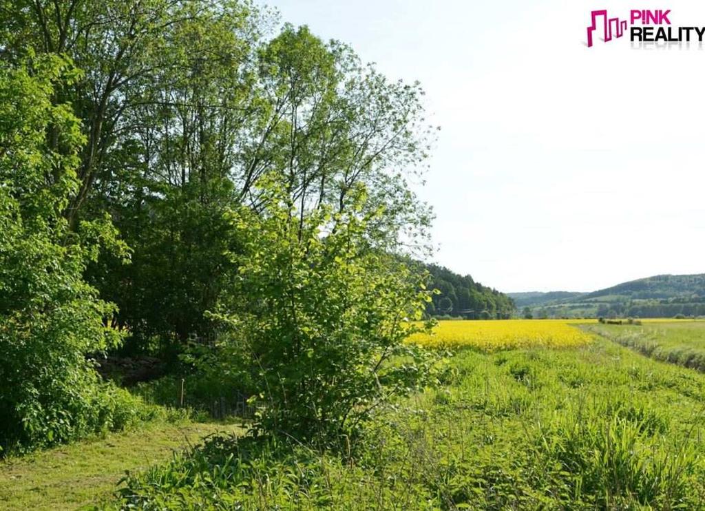 Srovnávací nemovité věci (SN): 1) Zemědělské pozemky Nabídková cena: 64 098 Kč Upravená nabídková cena: 18 Kč/m 2 Lokalita: Pěčíkov, okres Svitavy Výměra: 3 561 m 2 Popis: