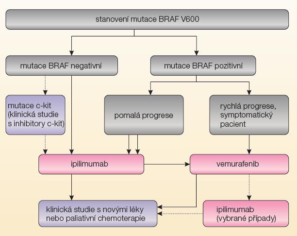 ESMO clinical practice guidelines 8 U metastatického onemocnění by měly být testované mutace BRAF V600, v případě negativního výsledku pak NRAS, c-kit, aby mohl pacient být léčen cílenou léčbou, ev.