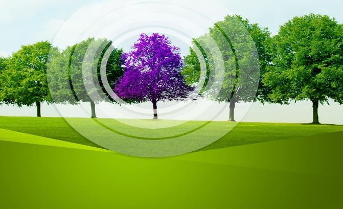 SPOJENÁ ŠKOLA, Kremnička 10, Banská Bystrica ENERSOL SK 1.