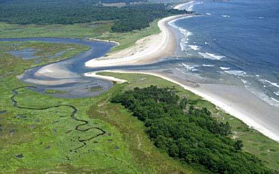 DELTA ESTUÁR BRAKICKÁ VODA NÁPLŇ TÉTO LEKCE Přechodné prostředí mezi sladkou (říční/podzemní) a mořskou vodou Specifika + abiotické parametry Ekologický význam daného biotopu Adaptace