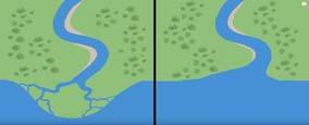 Trojúhelníkový tvar zóny s vysokou sedimentací Díky tomu velmi úrodná půda, bohatá na živiny ESTUÁR: Výrazné  Ostrý předěl mezi řekou a mořem (hrana dna)