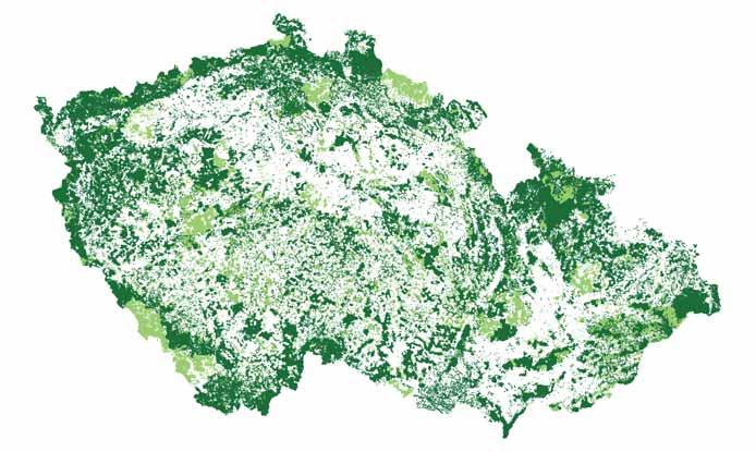 Přehled spravovaného majetku dle LHP 1995 2004