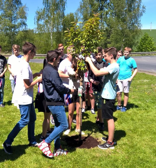 Společné vysazení a ozdobení stromu, který má symbolizovat aktivní spolupráci mezi