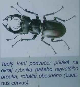 navazuje na