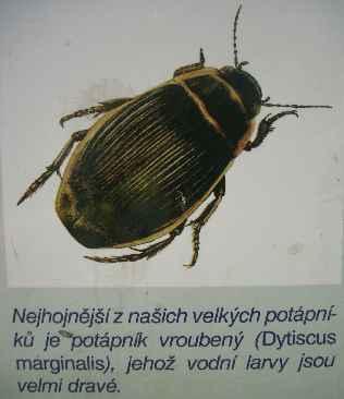 setkáváme s