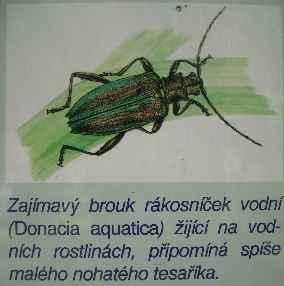 vázanými na