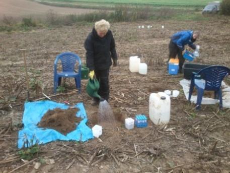 Metodika hlístice Odebrání půdního základu (n=25) Smíšený vzorek Extrakce s kombinovanými filtračními metodami (čistící, prosévací, s bavlnou) Stanovení typu konzumentů: